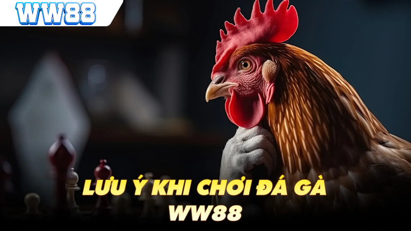 chơi Sảnh đá gà tại WW88