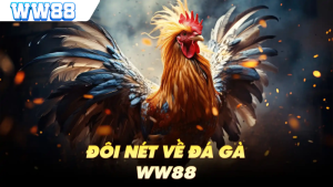 Sảnh Cược Đá Gà WW88: Trải Nghiệm Sàn Đấu Kịch Tính Có 1-0-2 9 đá gà WW88