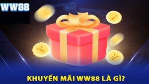 Khuyến mãi ww88: Những điều hấp dẫn bạn không nên bỏ qua 16 Khuyến mãi ww88