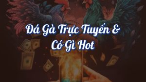 Đá Gà Trực Tuyến Top Các Nhà Cái Uy Tín Cho Anh Em Đam Mê 3 Đá gà trực tuyến có gì hot?