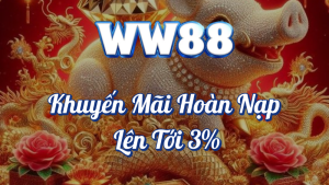 Khuyến Mãi Hoàn Nạp Lên Tới 3% Tại WW88 3 Khuyến mãi hoàn nạp tại WW88