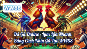 Đá Gà Online - Lụm Lúa Nhanh Bằng Cách Nhìn Gà Tại WW88 6 Đá Gà Online - Lụm Lúa Nhanh Bằng Cách Nhìn Gà Tại WW88