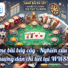 Game bài bảy cây – Nghiên cứu và hướng dẫn chi tiết tại WW88